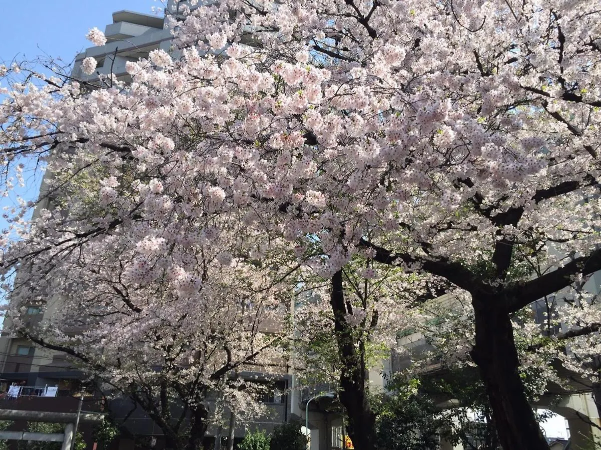 Shibuya Stay Tokyo B103 Appartement